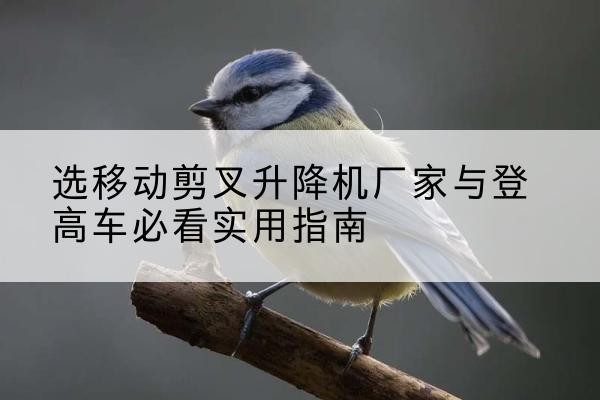 官渡电动升降机厂家-选移动剪叉升降机厂家与登高车必看实用指南