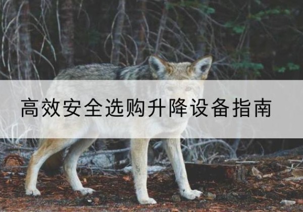 官渡升降货梯厂家推荐-*安全选购升降设备指南